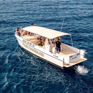 sortie-bateau-planete-dauphins