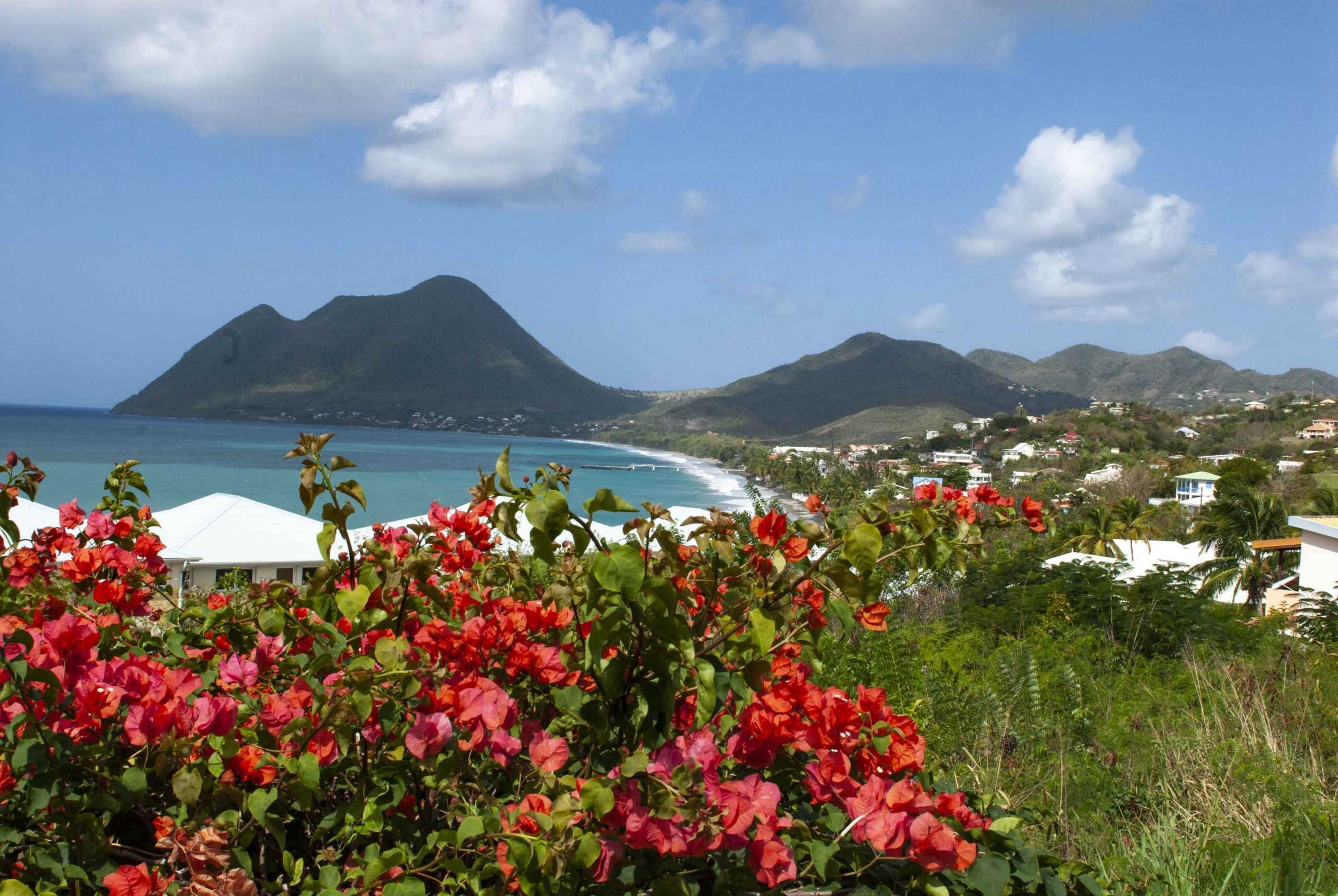 La Martinique, l'île aux Fleurs